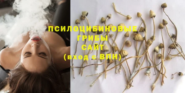 гидра Белокуриха