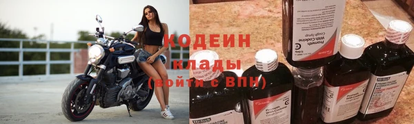 гидра Белокуриха