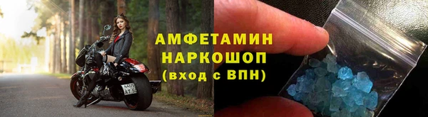 гидра Белокуриха