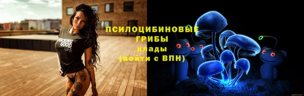 гидра Белокуриха