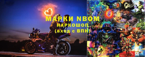 гидра Белокуриха
