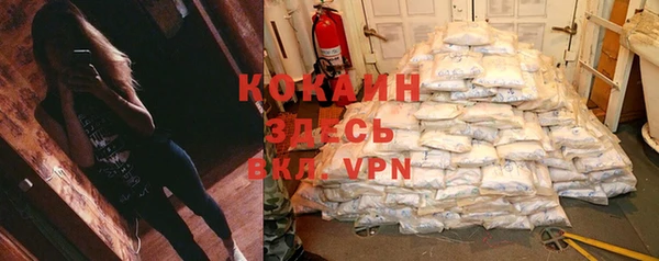 гидра Белокуриха