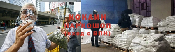гидра Белокуриха