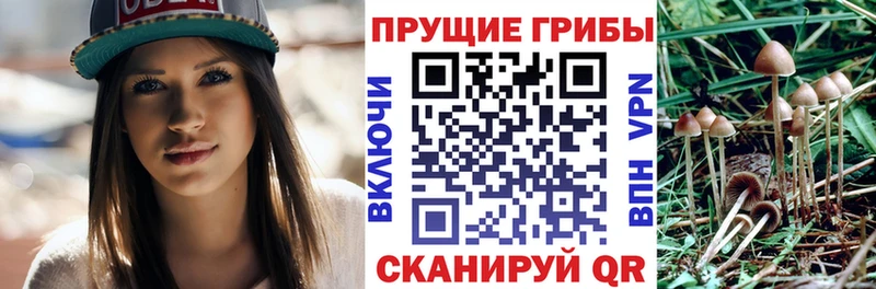 Псилоцибиновые грибы MAGIC MUSHROOMS  Велиж 